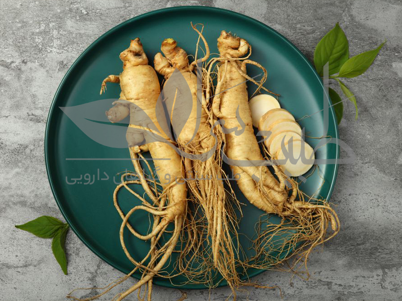 خواص جنسینگ در کاهش ریزش مو